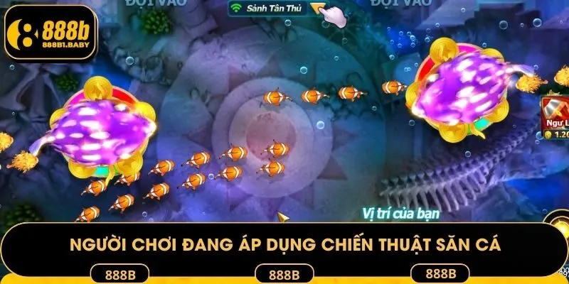 Người chơi đang áp dụng chiến thuật săn cá