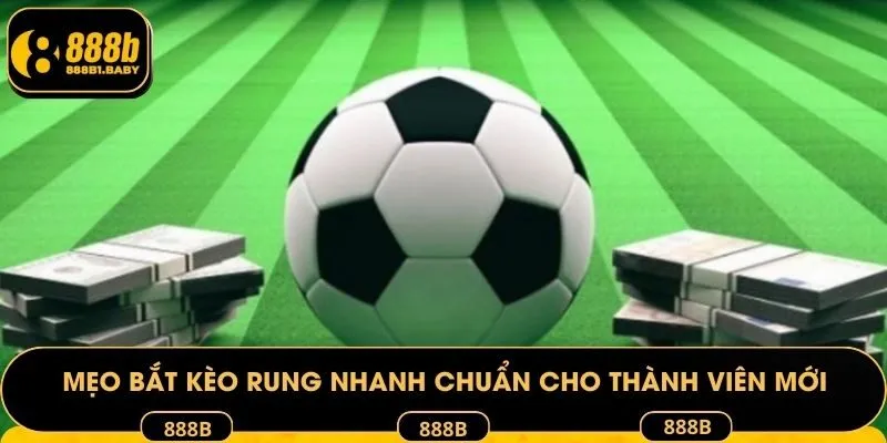 Mẹo bắt kèo rung nhanh chuẩn