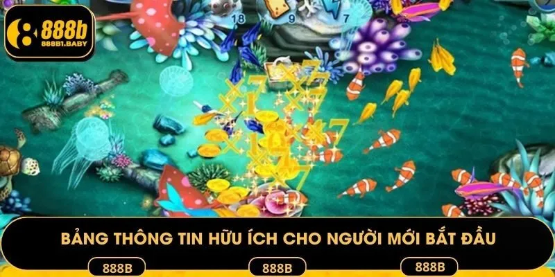 Bảng thông tin hữu ích cho người mới bắt đầu