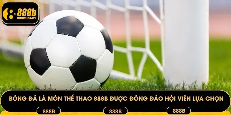 Bóng đá là môn thể thao 888B được đông đảo hội viên lựa chọn