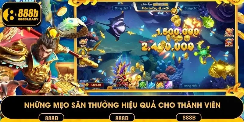 Những mẹo săn thưởng hiệu quả cho thành viên
